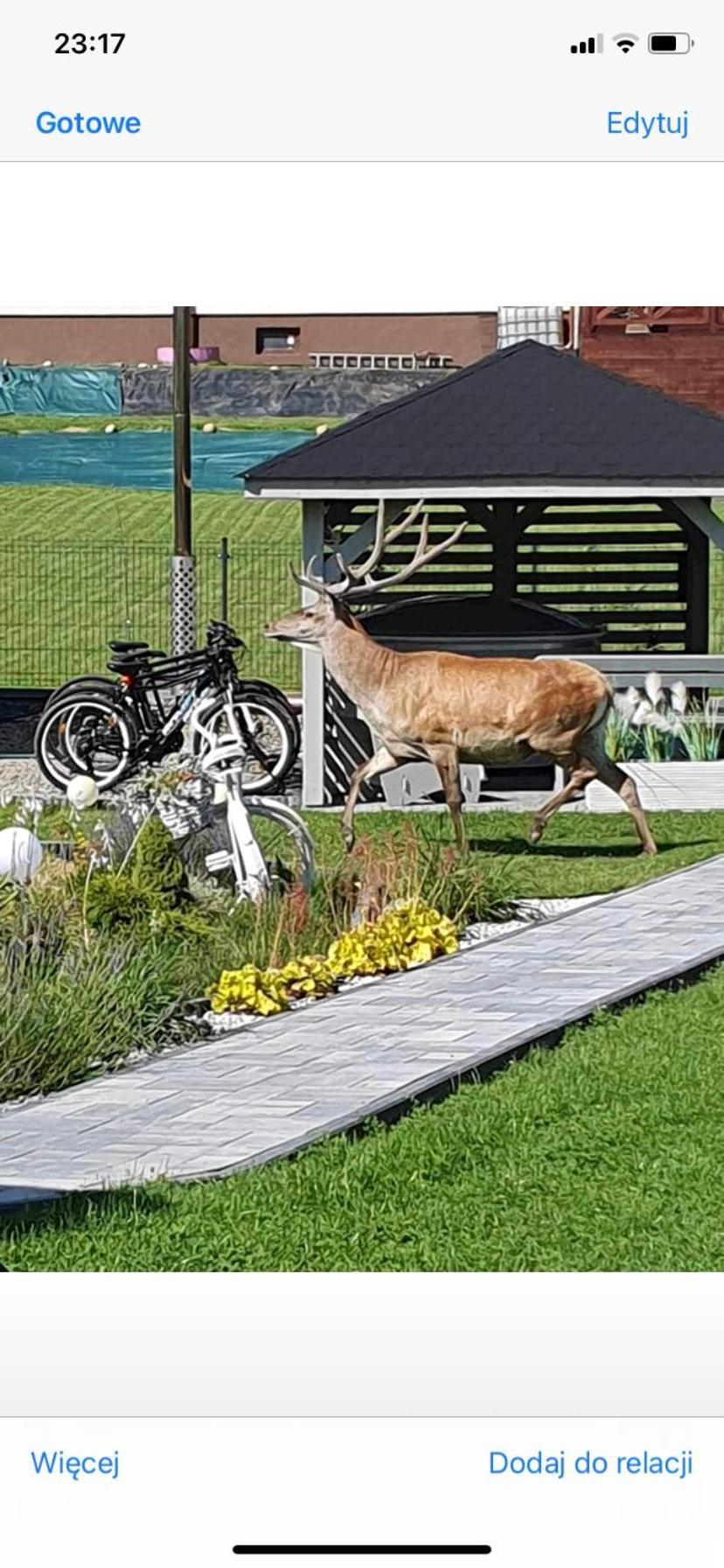 Bieszczadzka Sielanka Villa Ustrzyki Dolne Bagian luar foto