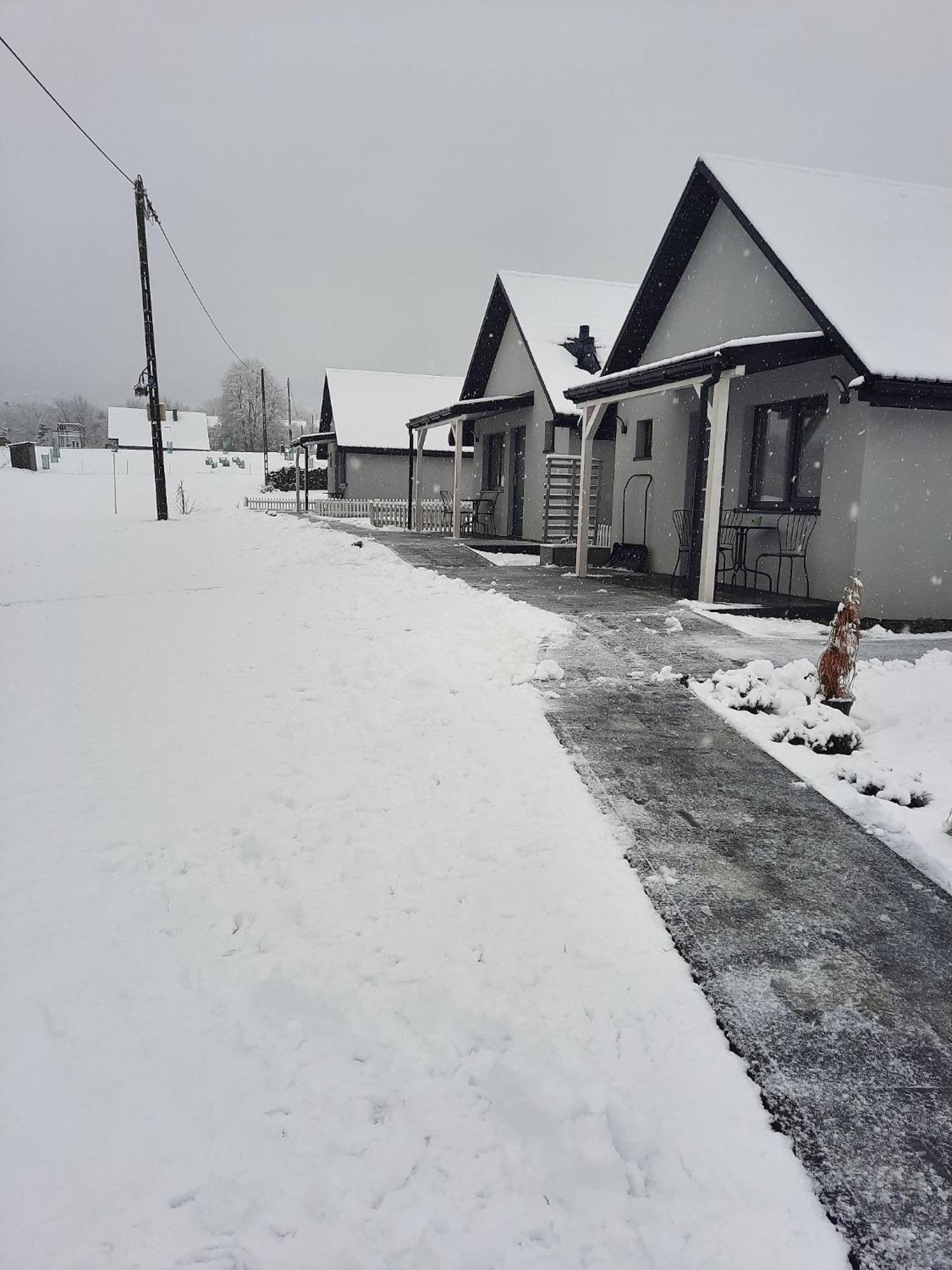 Bieszczadzka Sielanka Villa Ustrzyki Dolne Bagian luar foto